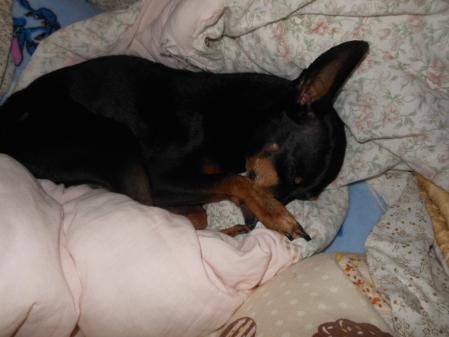 005_20120816073958.jpg