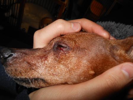 005_20121231224050.jpg