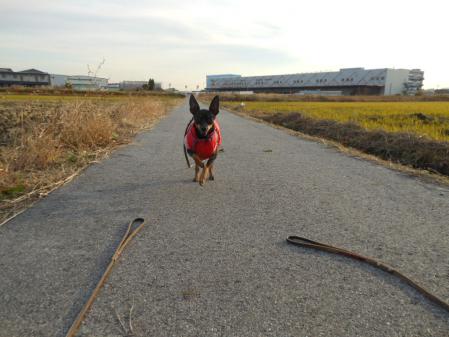 022_20121204205018.jpg