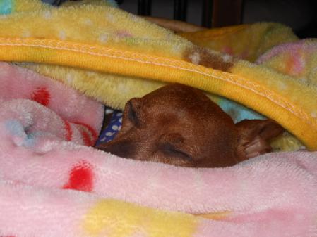 026_20120722224029.jpg