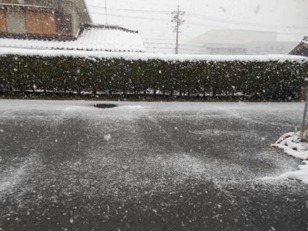 035_20121210183018.jpg