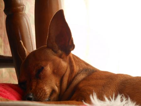 036_20121231222625.jpg
