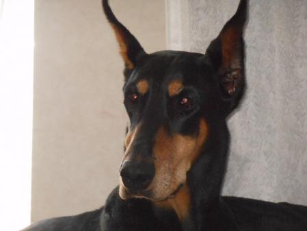 039_20120719103519.jpg