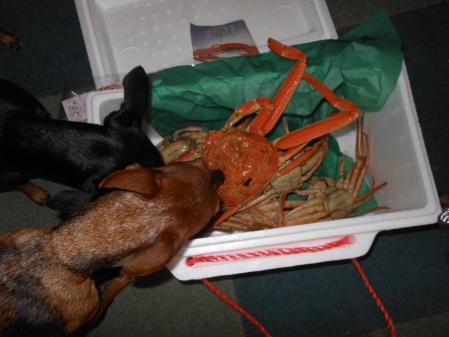 039_20121130175347.jpg