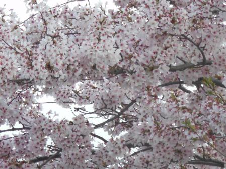040_20121110214300.jpg