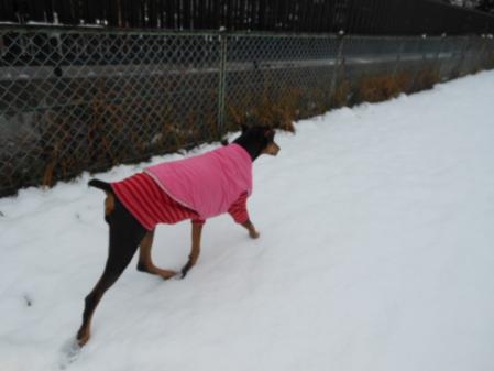 045_20121210183030.jpg