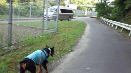 046_20120802154732.jpg