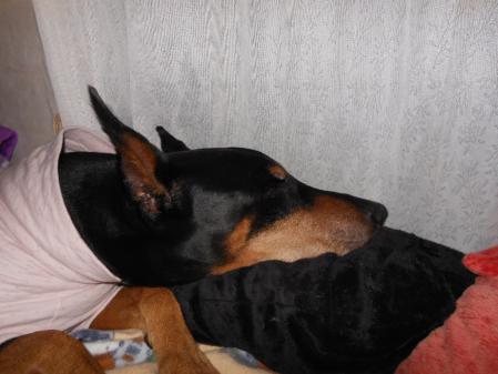 046_20121204204626.jpg