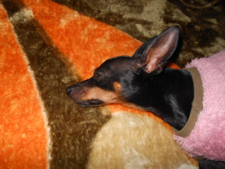 046_20121207103359.jpg