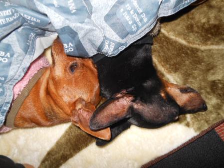 047_20121207103352.jpg