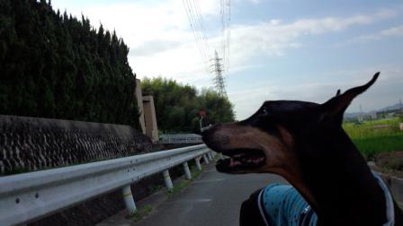 060_20120802154953.jpg