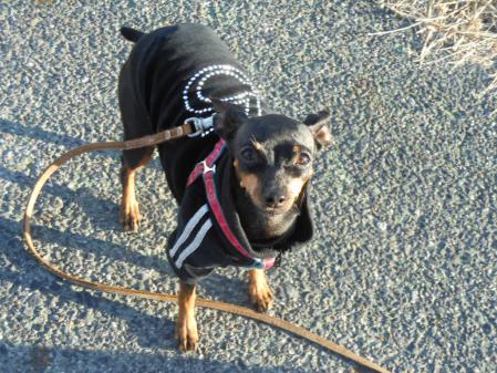 063_20130111102656.jpg