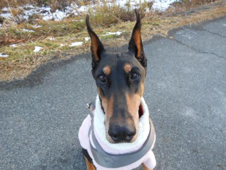064_20121210183447.jpg