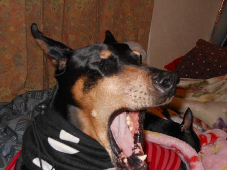 064_20121231232043.jpg