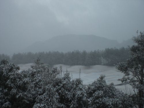CIMG3822-1.jpg
