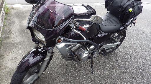 IMGP2980.jpg