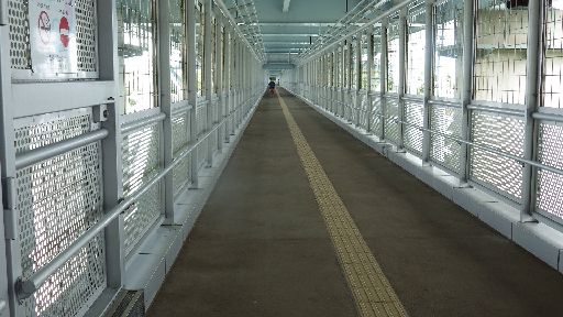 IMGP3038.jpg