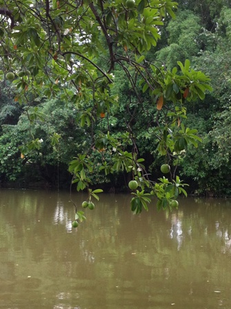 river3
