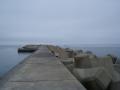 DSC02643.jpg