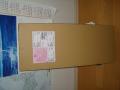 DSC05264.jpg