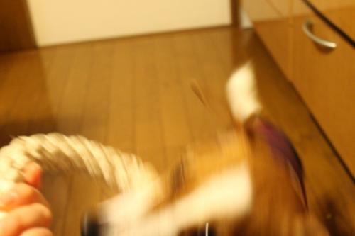 IMG_1021_convert_20140121200258.jpg