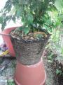 20120815TS3S0211.jpg