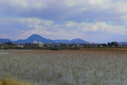 mizunomori_14_1_22_16.jpg