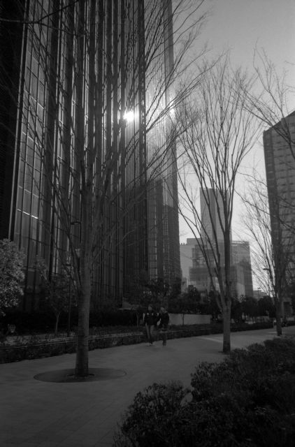 冬景色2013-06a