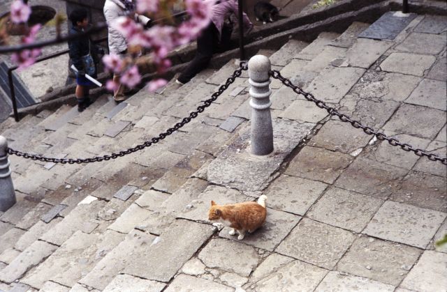 春の予感08f