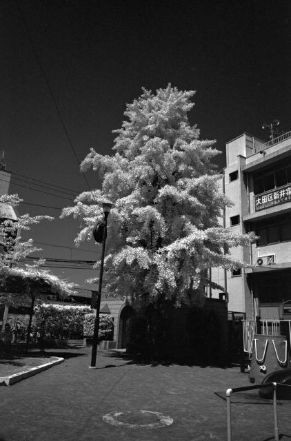 IR08d02