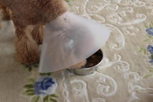 IMG_4979_convert_20130316144449.jpg