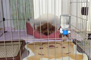 IMG_4993_convert_20130316145151.jpg