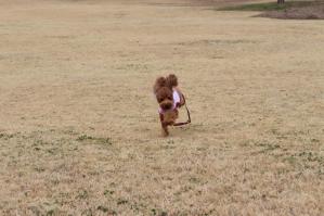 IMG_5038_convert_20130320160525.jpg