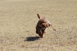 IMG_5077_convert_20130321181312.jpg
