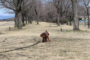 IMG_5083_convert_20130321181229.jpg