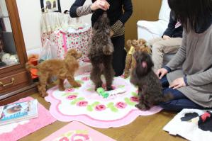 IMG_5181_convert_20130324230312.jpg