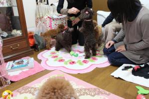 IMG_5185_convert_20130324230419.jpg
