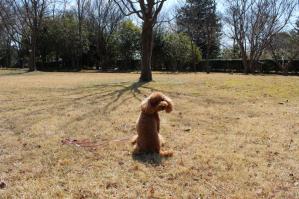 IMG_5237_convert_20130327111530.jpg