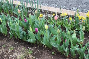 IMG_5243_convert_20130328204413.jpg