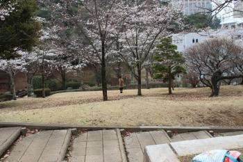 IMG_5274_convert_20130329195234.jpg
