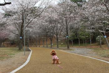 IMG_5276_convert_20130329195320.jpg