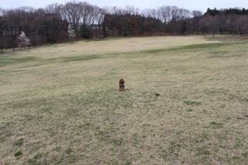 IMG_5289_convert_20130331163359.jpg