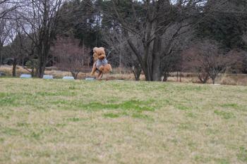 IMG_5305_convert_20130331163534.jpg