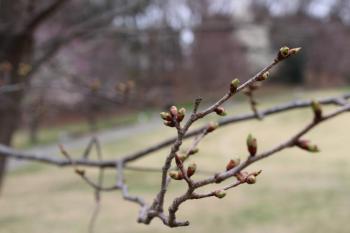 IMG_5320_convert_20130331163807.jpg