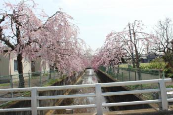 IMG_5362_convert_20130401183137.jpg
