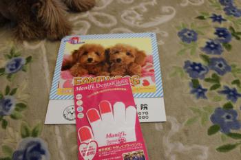 IMG_5373_convert_20130402121304.jpg