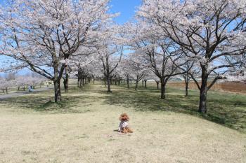 IMG_5399_convert_20130406133410.jpg