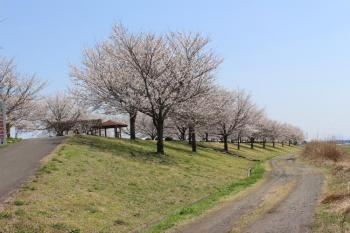 IMG_5484_convert_20130406134402.jpg