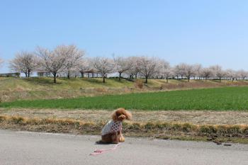 IMG_5489_convert_20130406134546.jpg