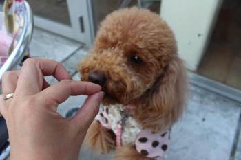 IMG_5518_convert_20130406135146.jpg